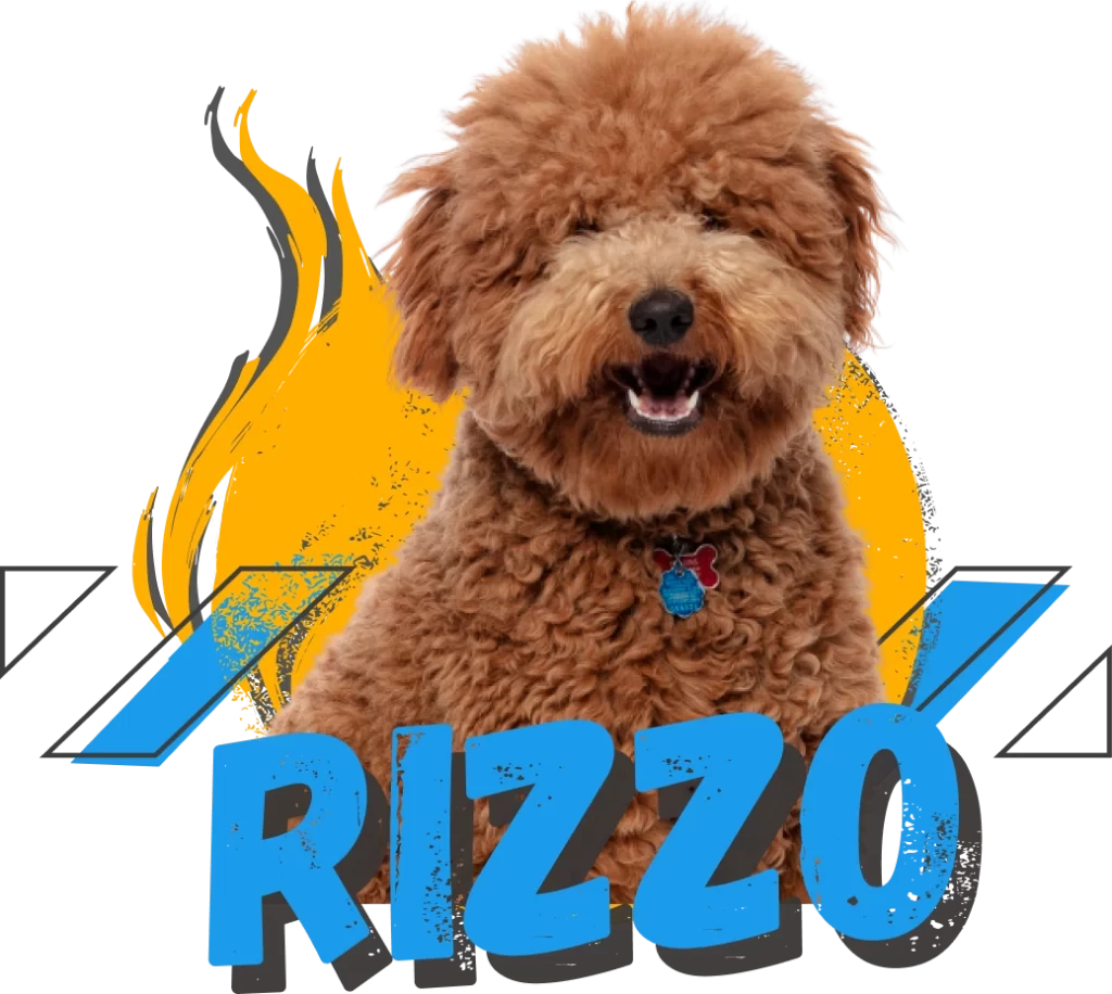 Rizzo, Paragon Accounting’s dog mascot and member of the Council of Treats and Vibe
