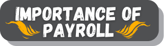 grey button that says importance of payroll